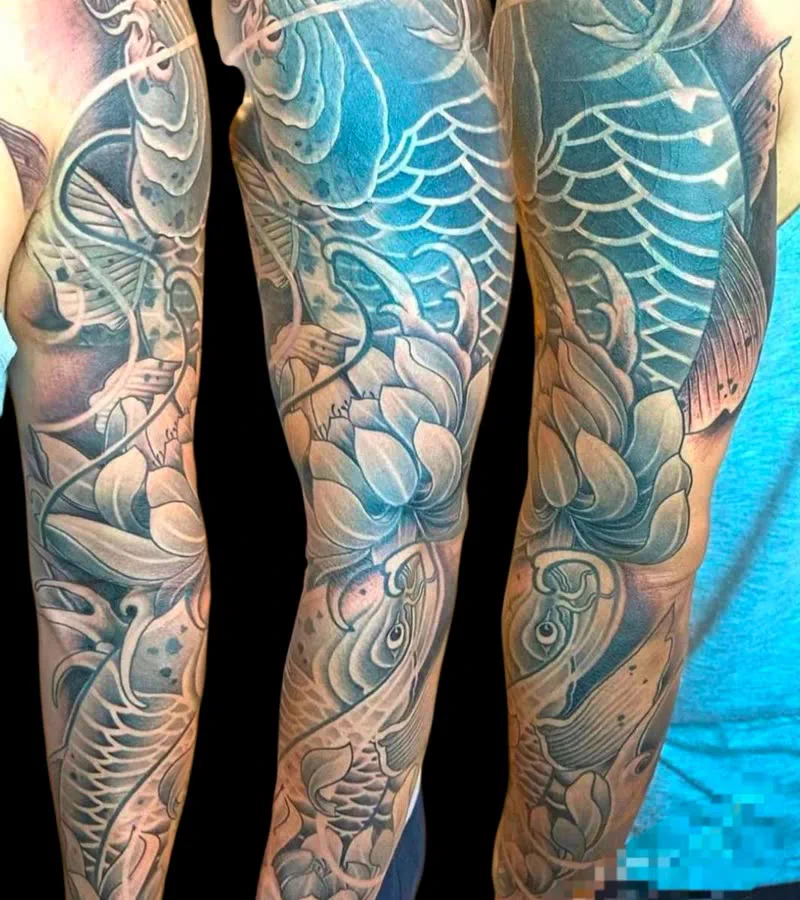 Japanese koi leg sleeve in colour, Koh Samui