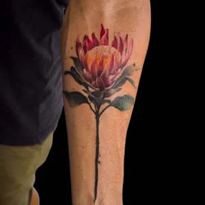 Colour protea flower forearm tattoo by Savatang